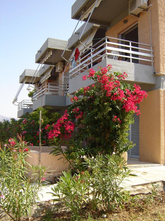 Galini Studios And Apartments Ласі Екстер'єр фото