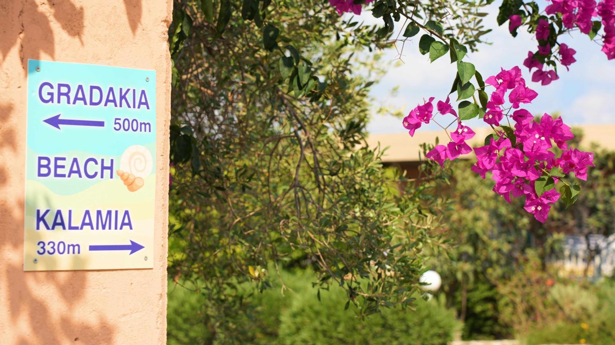 Galini Studios And Apartments Ласі Екстер'єр фото